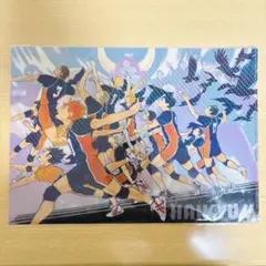 ハイキュー クリアファイル 烏野 音駒 原作