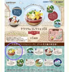 포켓몬 テラリウムコレクションEX ガラル地方 ワンパチ＆ 피카츄