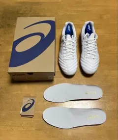 Item thumbnail for item c99f7548-4171-42d1-8f28-385e1b8047ae