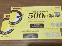 壱番屋　ココイチ　株主優待券　1,000円分（500円券×2枚）　送料無料のサムネイル