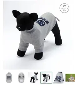 Item thumbnail for item 60e85172-a20c-4716-b995-0e03b06e9a90