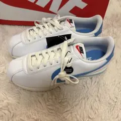 Nike SNKR DUNK ホワイト/ブルー スニーカー