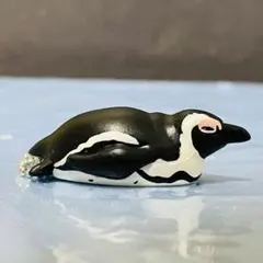 ⑤ケープペンギン　ntc.puff ペンギンマスコット　キタンクラブ