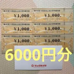 ビックカメラ 株主優待券 6000円分 (1000円×6枚)