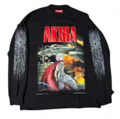 AKIRA 鉄雄　ロンT XL long sleeve T 90s ANARCHIC ADJUSTMENT 