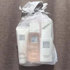 2025年最新】ザギンザ ファーストクラス anaの人気アイテム - メルカリ