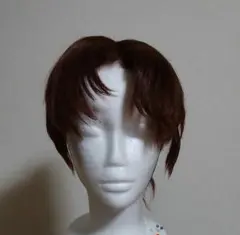 忍たま乱太郎 コスプレ ウィッグ 善法寺伊作 山田利吉