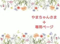やまちゃんさま✢専用ページ