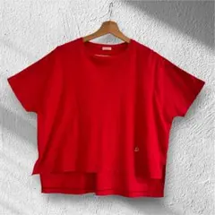 DRESSTERIOR アイスクリアコットンドルマンTシャツレッド 38Mのサムネイル