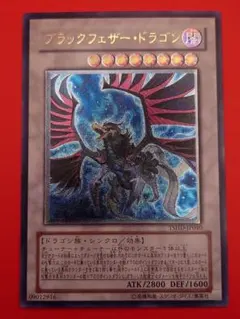 ブラックフェザー・ドラゴン レリーフ - メルカリ
