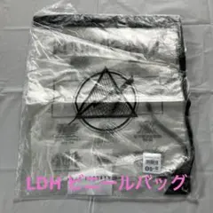 LDH ビニールバッグ