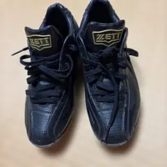 ZETTプロステイタス野球スパイク(横浜DeNAベイスターズ深沢選手実使用