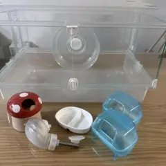 Item thumbnail for item 0b4148a7-5ab9-40ab-866e-a7fa160d211b