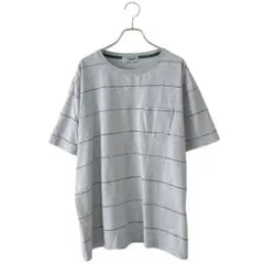 crocodile クロコダイル(2L)ロゴ ボーダー 半袖Tシャツ/グレー