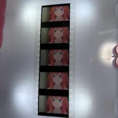 映画 五等分の花嫁 コマフィルム 五月