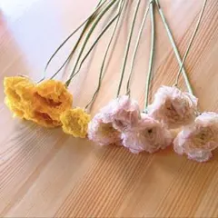 ❇️ラナンキュラス❣️2種類 4色