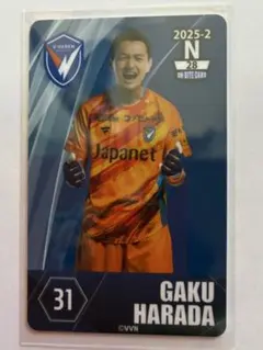 Item thumbnail for item d5fe106a-58c3-41a2-878e-5bcedf7186b6