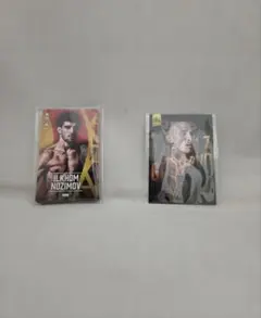 RIZIN May 슈퍼 스트롱 멤버 한정 RIZIN.53 플레이어 카드 x 리미티드 료코 카드