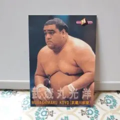 2026年最新】引退相撲の人気アイテム - メルカリ