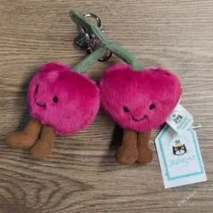 ジェリーキャット スイカ キーホルダー JELLYCAT watermelon - メルカリ