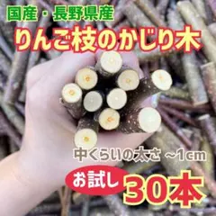 Item thumbnail for item 4324ba87-310b-4ab1-8e90-612c64716888