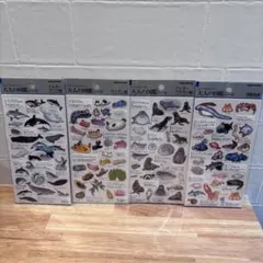 【本日限定特価】大人の図鑑シール　４枚セット　海の生き物