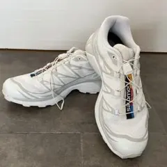 Item thumbnail for item 19f9edf6-08d4-4ec8-b585-674ff03e2944