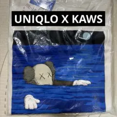 KAWS Tシャツ ホワイト Lサイズ