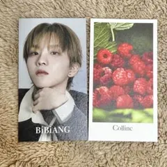 BiBiANG ビビアン ウナク ボネクド BOYNEXTDOOR トレカ