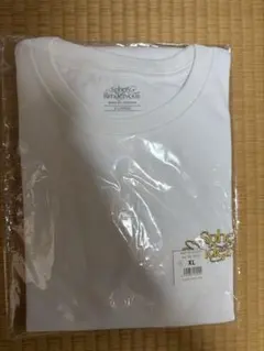 【全新未使用】BUMP OF CHICKEN T恤 XL