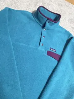 レアカラー‼️ パタゴニア　スナップt シンチラ　フリース　L