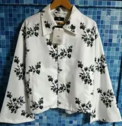 Item thumbnail for item 73e340b7-4134-492c-9d9d-c9df4bdbb804