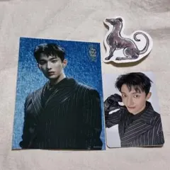 SEVENTEEN シーグリ タワレコ　トレカ ブロマイド　DK ドギョム