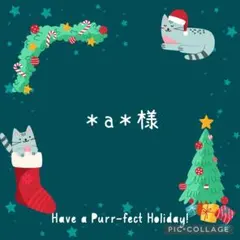 ＊a＊様　おまとめ