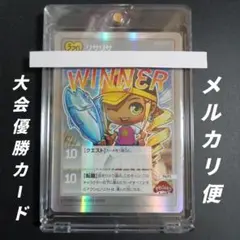 メイプルストーリーTCG　店舗大会優勝　P4-Y1 リサリサ 2026年最新】メイプルストーリー カードの人気アイテム - メルカリ