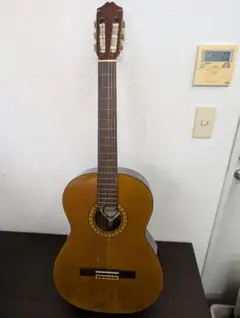 輸入クラシックギター・フェルナンデス 2025年最新】フェルナンデス クラシックギターの人気アイテム - メルカリ