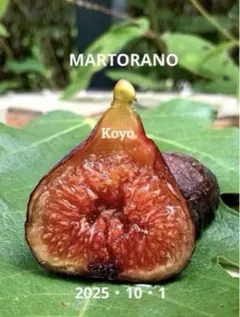 ヒデ【プロフ必読】様 リクエスト 2点 まとめ商品