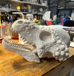 DINOWORLD】トリケラトプス 頭骨レプリカ 化石 ティラノサウルス