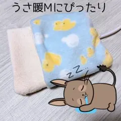 Item thumbnail for item d45261ea-b646-4383-8b4f-1985fc89a3ae