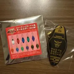 A*※様 -貴重品-大阪関西万博2025 ドミニカ共和国ピンバッジ - メルカリ