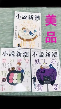 【美品】小説新潮2022年・2023年 3冊まとめ売り