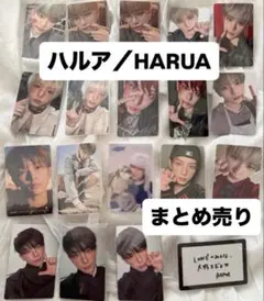 &TEAM HARUA ハルア トレカ 19枚セット