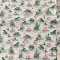 希少　ラスト50cm カエル　帆布生地　キャスキッドソン　コットン