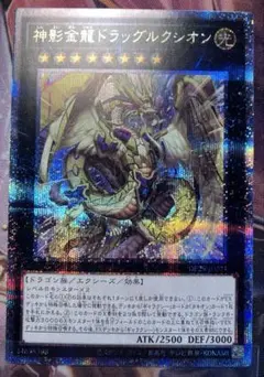 神影金龍ドラッグルクシオン　25th