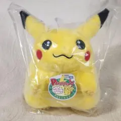 新品 ポケモン 30周年記念 おかえりピカチュウ ぬいぐるみ 1/1