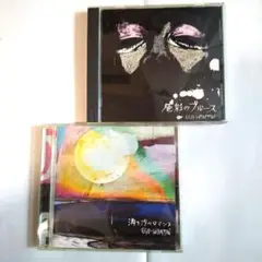 EGO-WRAPPIN' 満ち汐のロマンス 色彩のブルース 他 CD 2枚セット
