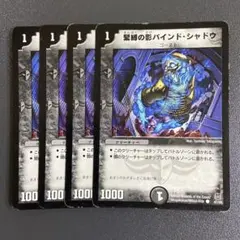 緊縛の影 バインドシャドウ 4枚