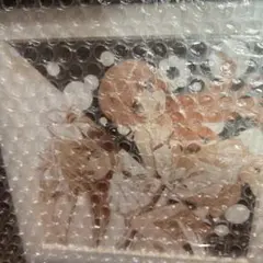 Item thumbnail for item bbc14a38-2bcc-43e1-be07-c07f2e09c577