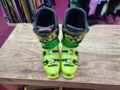 Item thumbnail for item a1cf1fee-5215-427d-858d-8698c2d7d209