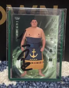 Item thumbnail for item c423293d-ddae-4ad9-928d-fa1879c0573f